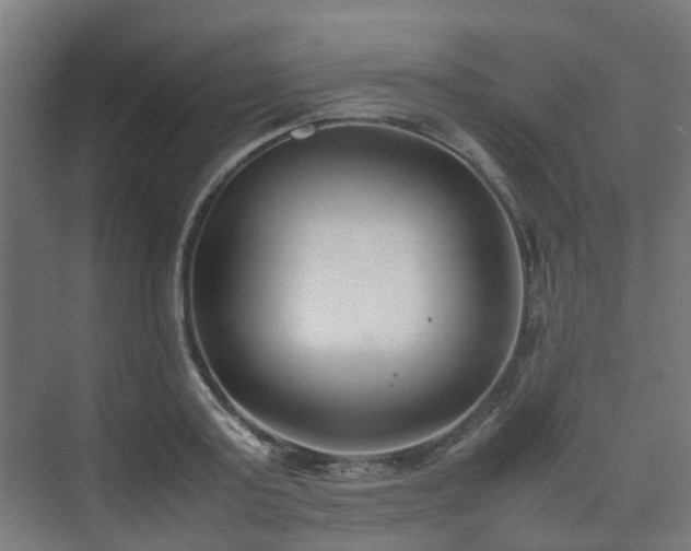 X0000074950795200609011119