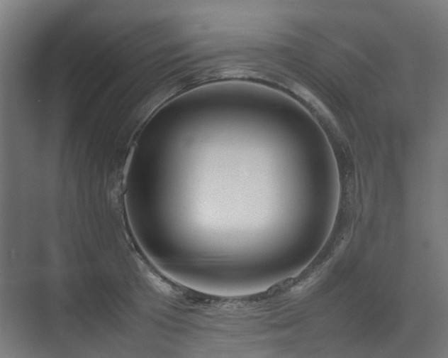 X0000074950801200609011119