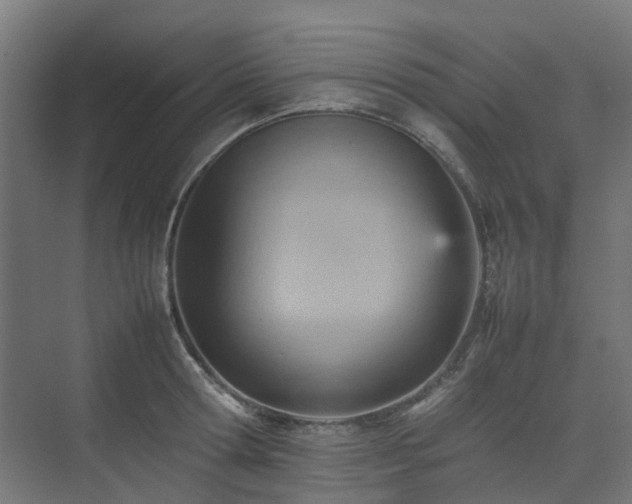 X0000074950802200609011119