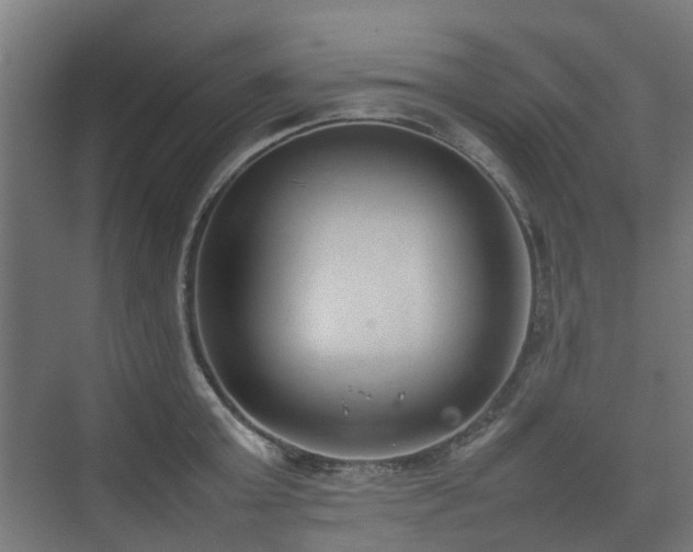 X0000074950803200609011119