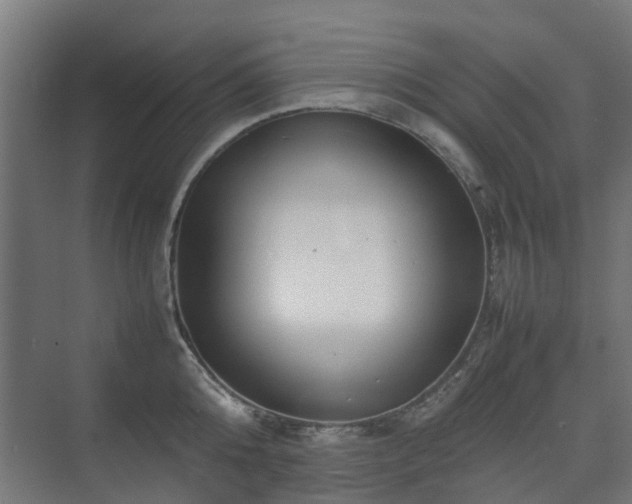 X0000074950808200609011119