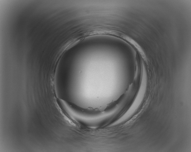 X0000074950809200609011119