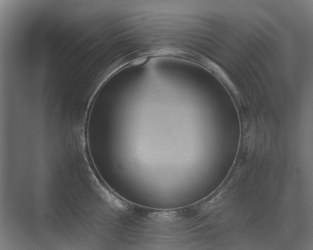 X0000074950810200609011119
