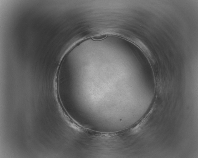 X0000074950814200609011119