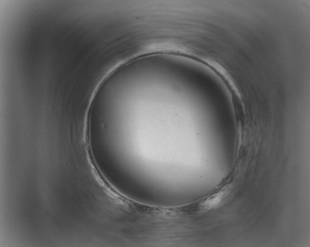 X0000074950815200609011119