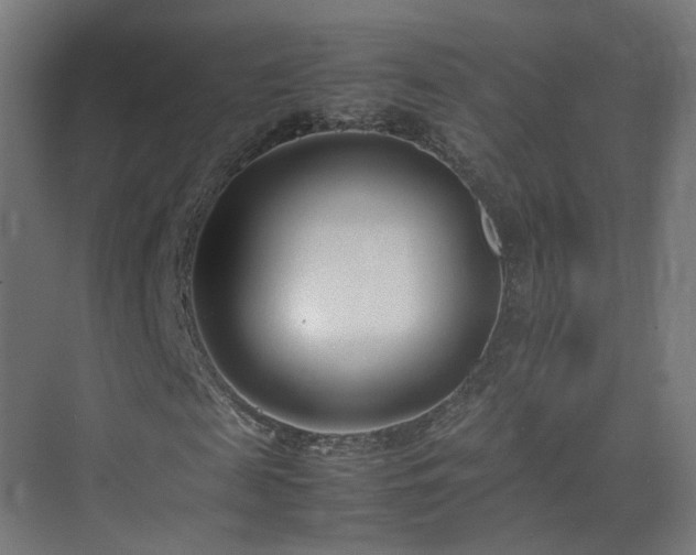 X0000074950817200609011118
