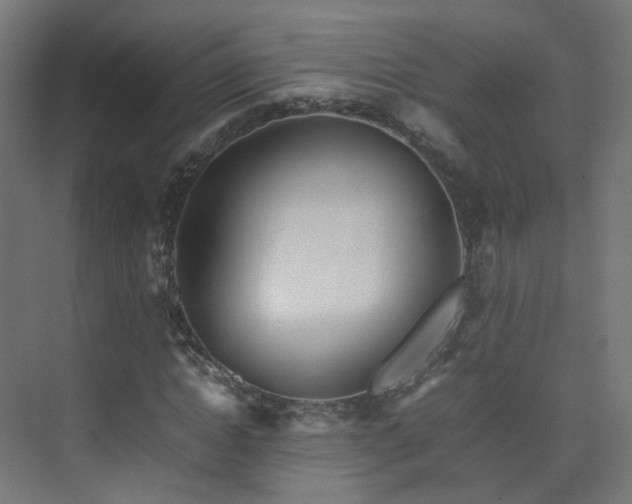 X0000074950822200609011118