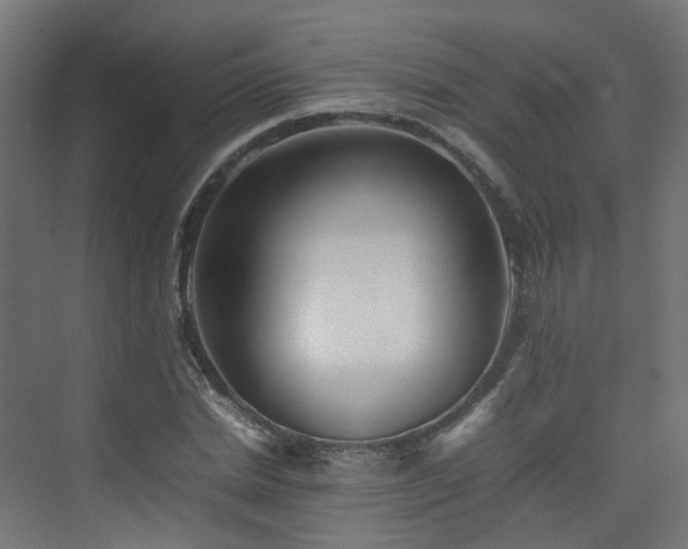 X0000074950830200609011118