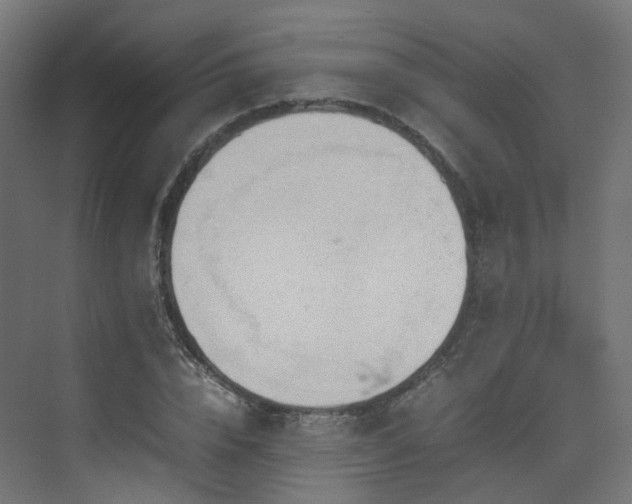 X0000074950832200609011118
