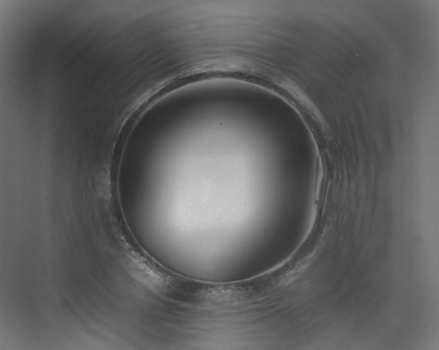 X0000074950834200609011118