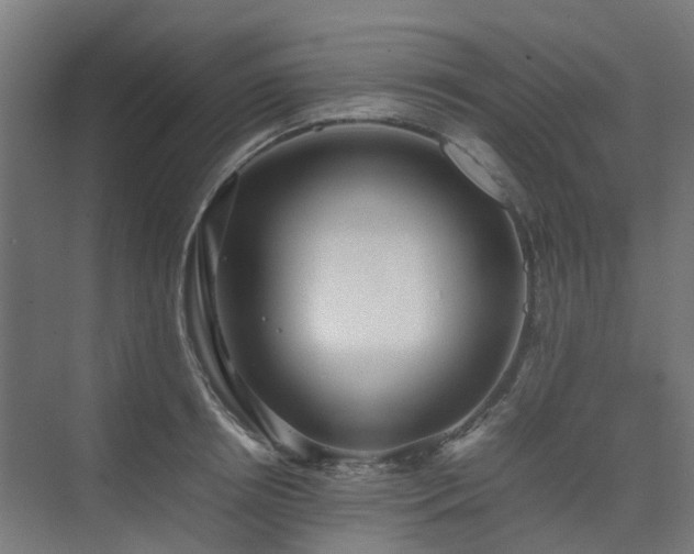 X0000074950850200609011118