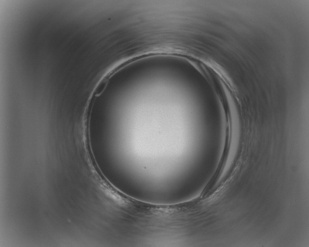 X0000074950854200609011118