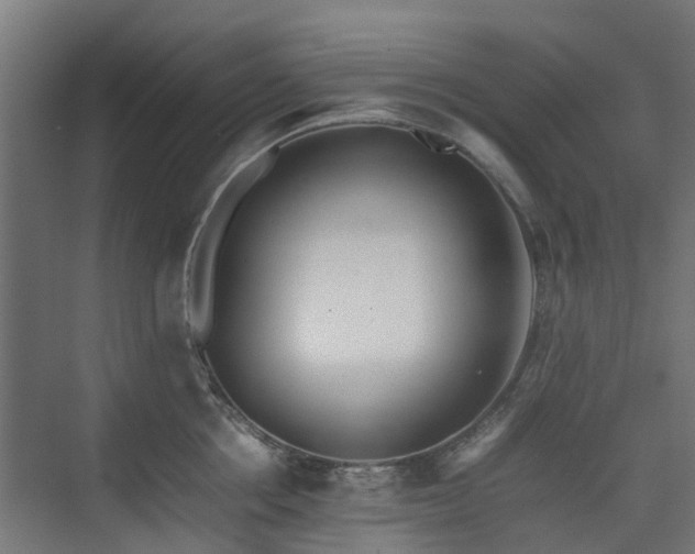 X0000074950858200609011119