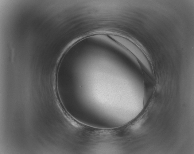 X0000074950862200609011119