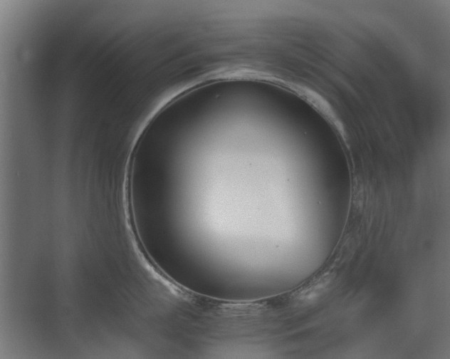 X0000074950863200609011119