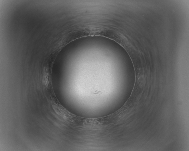 X0000074950866200609011118