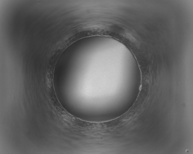 X0000074950869200609011118