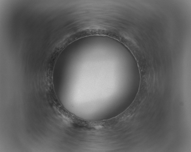 X0000074950870200609011118