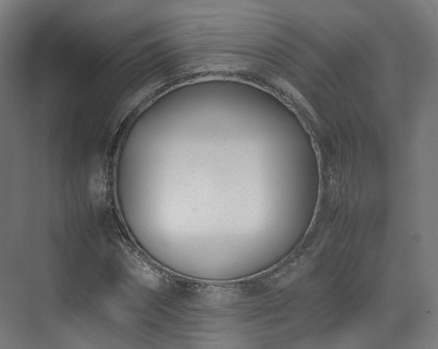 X0000074950874200609011118