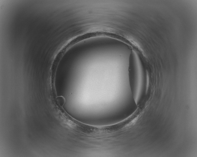 X0000074950877200609011118