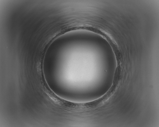 X0000074950881200609011118