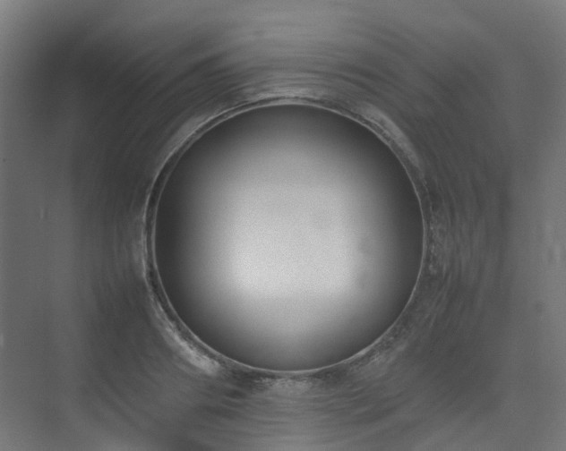 X0000074950890200609011117