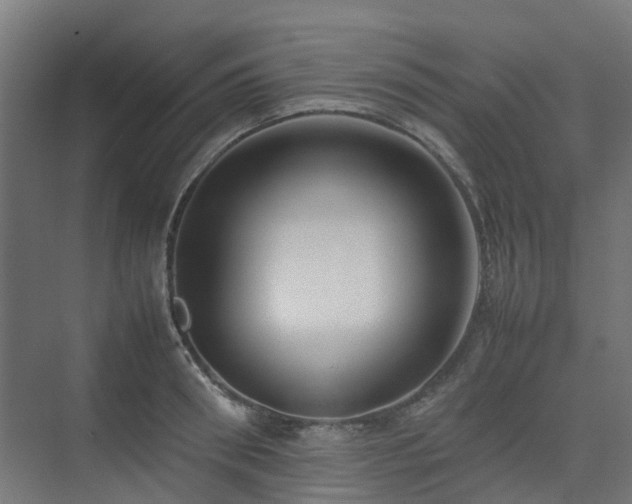 X0000074950898200609011117