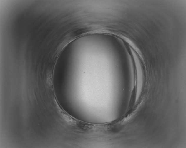 X0000074950905200609011117