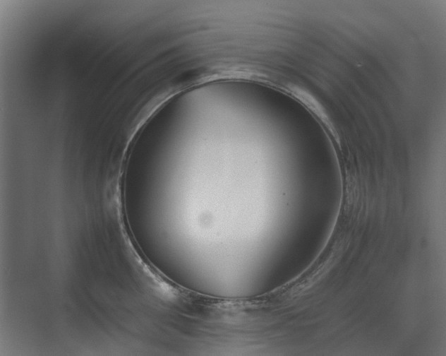 X0000074950906200609011117
