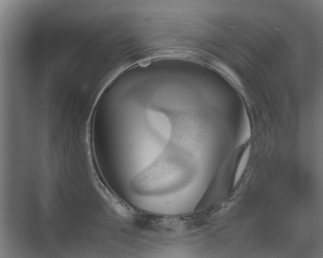 X0000074950907200609011117