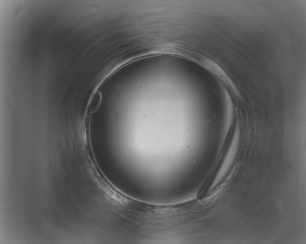 X0000074950908200609011117