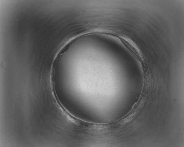 X0000074950910200609011117
