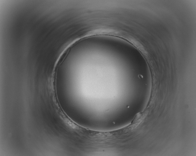 X0000074950912200609011117