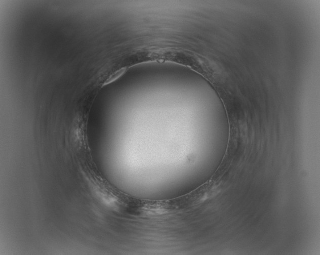 X0000074950914200609011116