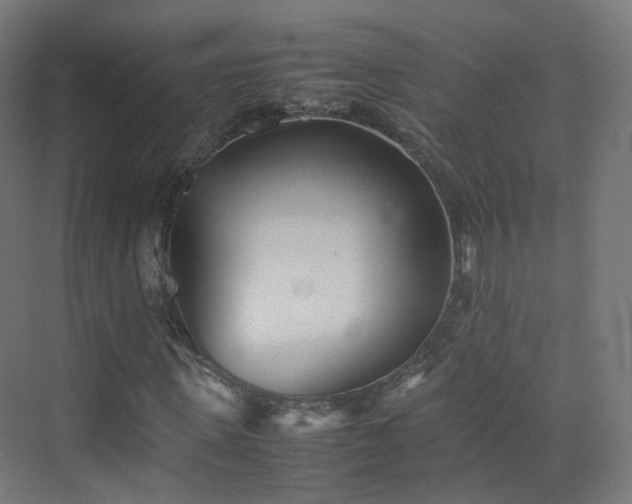 X0000074950915200609011116