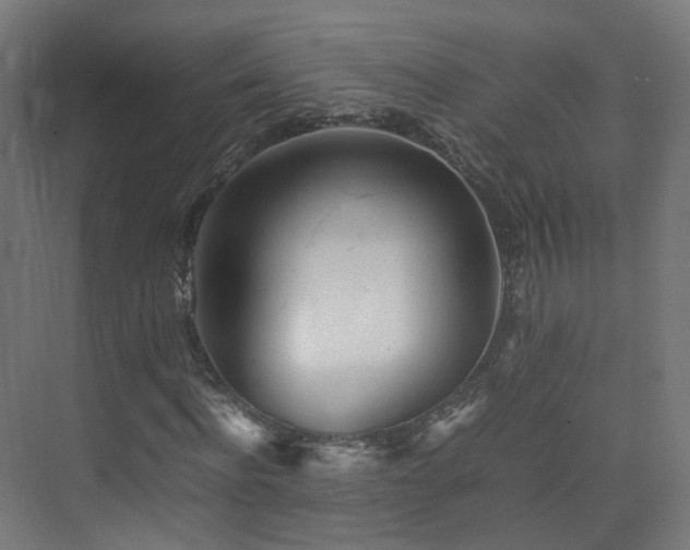 X0000074950916200609011116