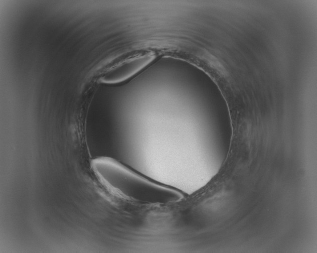 X0000074950920200609011116
