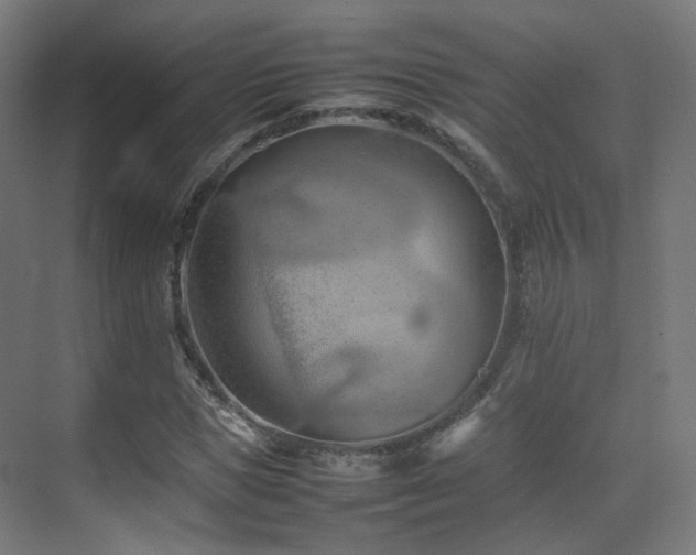 X0000074950921200609011116