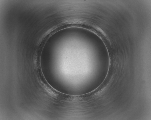 X0000074950922200609011116