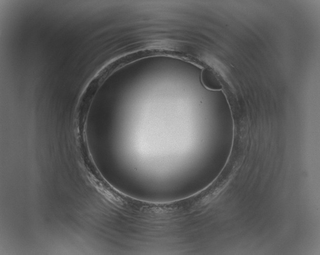 X0000074950923200609011116