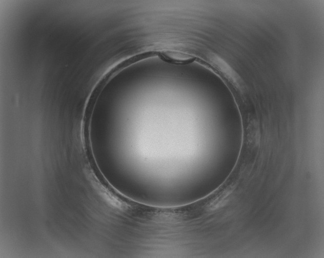 X0000074950932200609011117