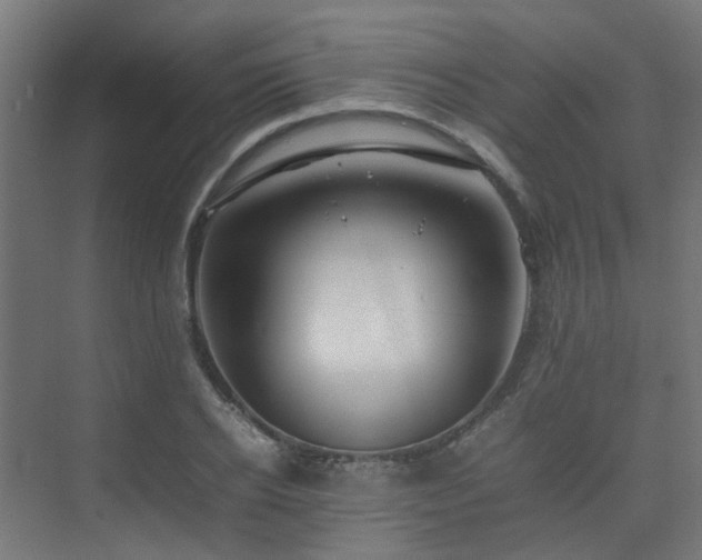 X0000074950934200609011117