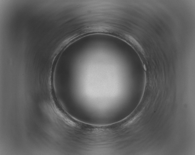 X0000074950938200609011117