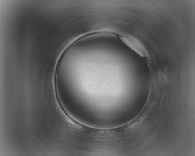 X0000074950959200609011117