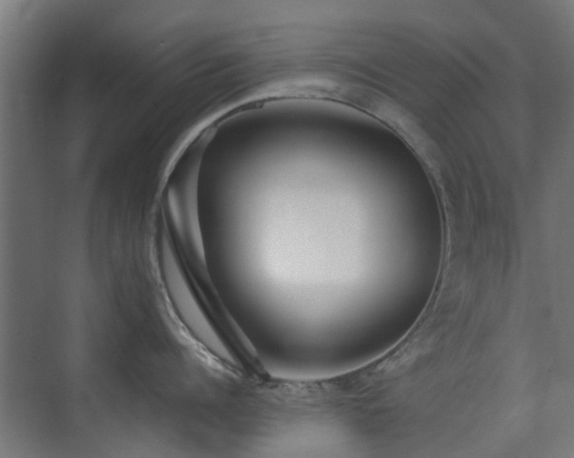 X0000074950960200609011117
