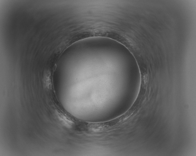 X0000074950963200609011116