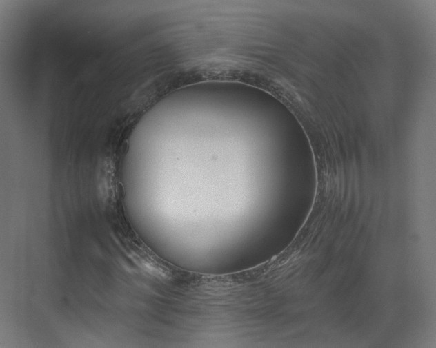 X0000074950964200609011116