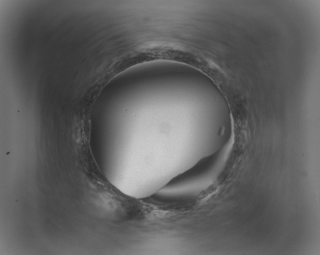 X0000074950965200609011116