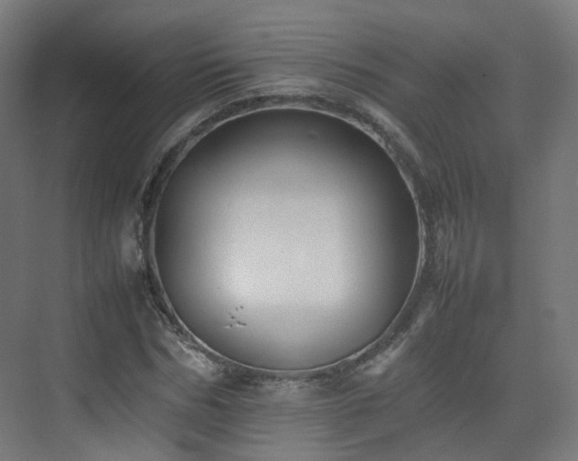X0000074950970200609011116