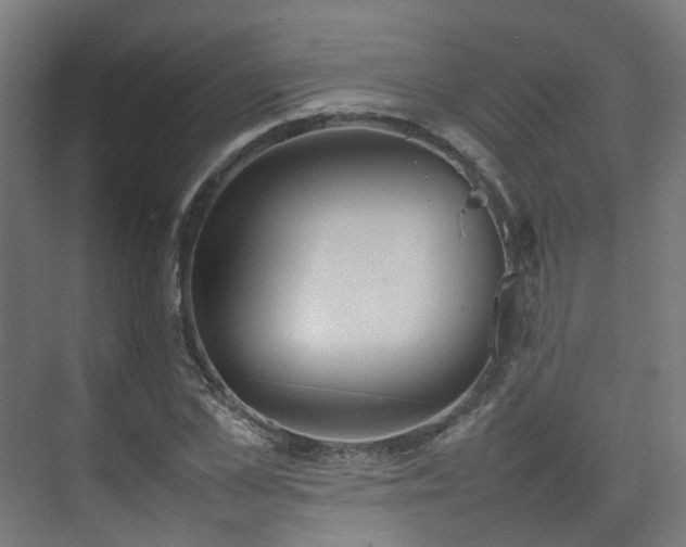X0000074950973200609011116